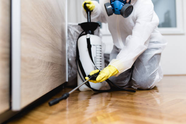 Best Affordable Pest Control Services  in Culver, IN