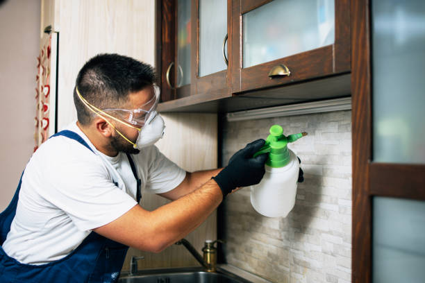 Best Pest Control Near Me  in Culver, IN