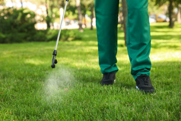 Wasp Removal Services in Culver, IN