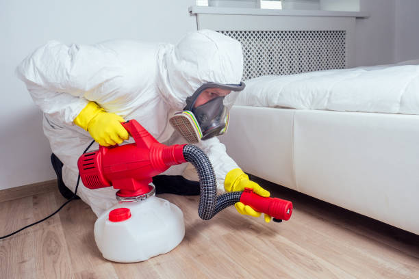Best Termite Control Services  in Culver, IN