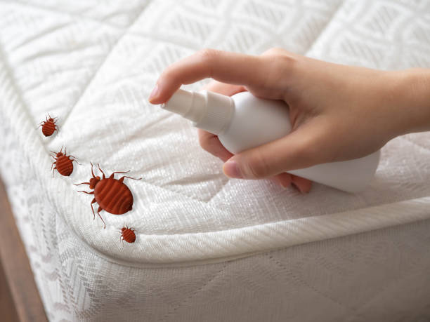 Best Affordable Pest Control Services  in Culver, IN