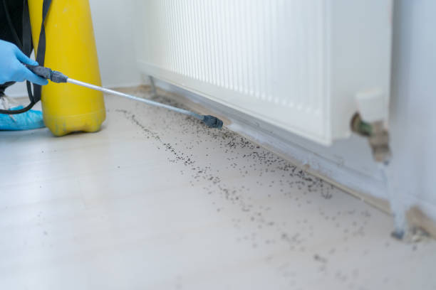 Best Flea Control Services  in Culver, IN