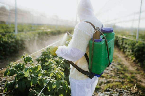 Best Pest Prevention Services  in Culver, IN